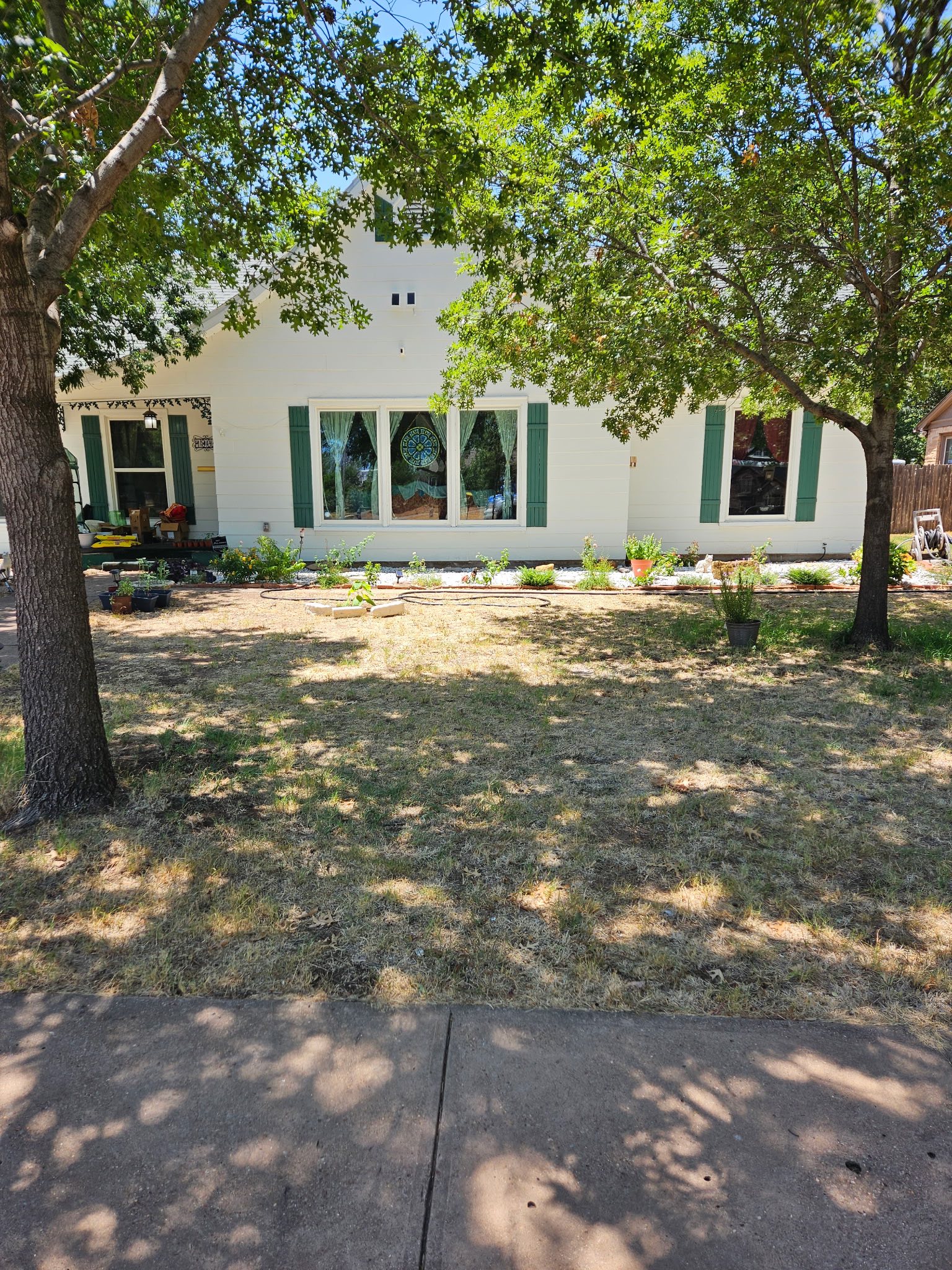 An Abilene cottage shaded by mature trees, with white windows and green shutters